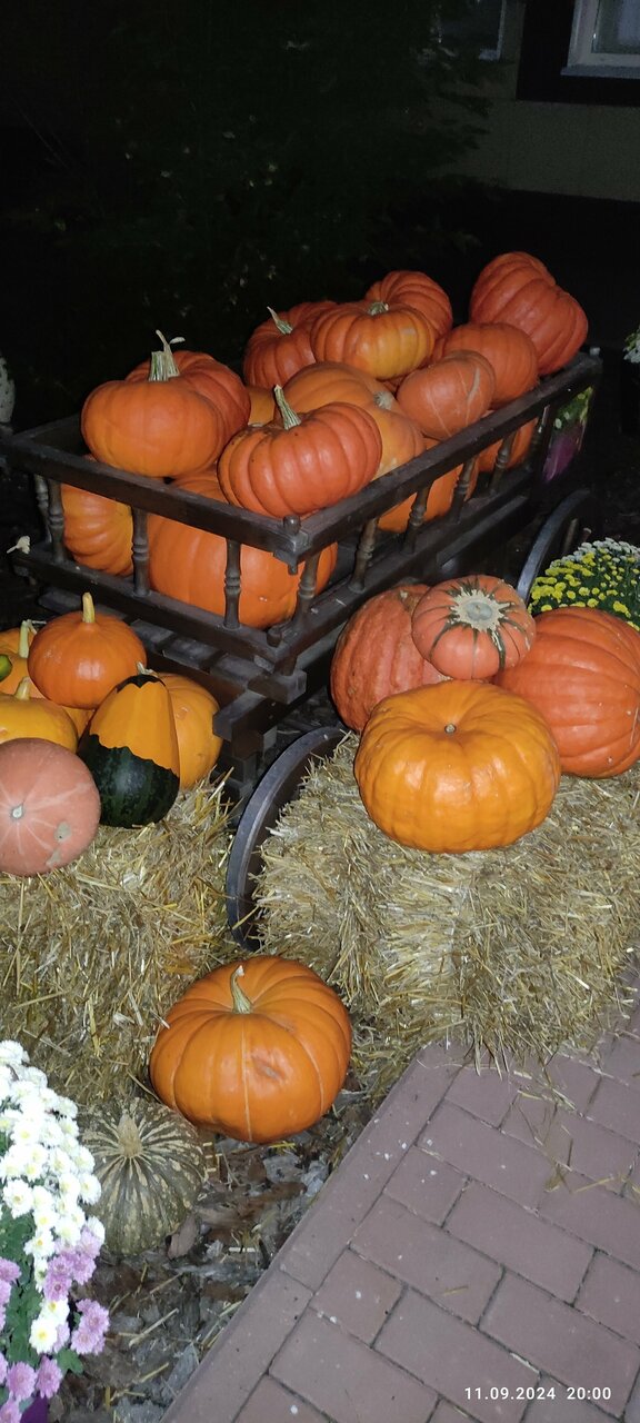 Гостиница Гармония Луховицы-92