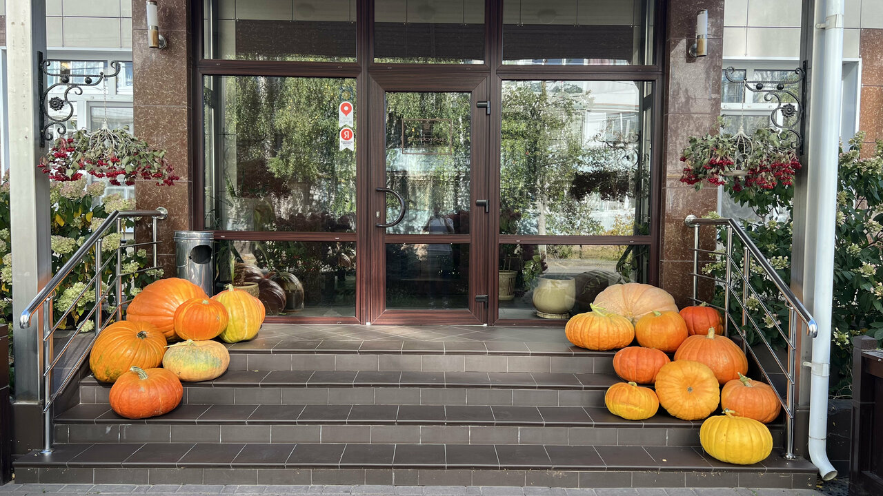 Гостиница Гармония Луховицы-34