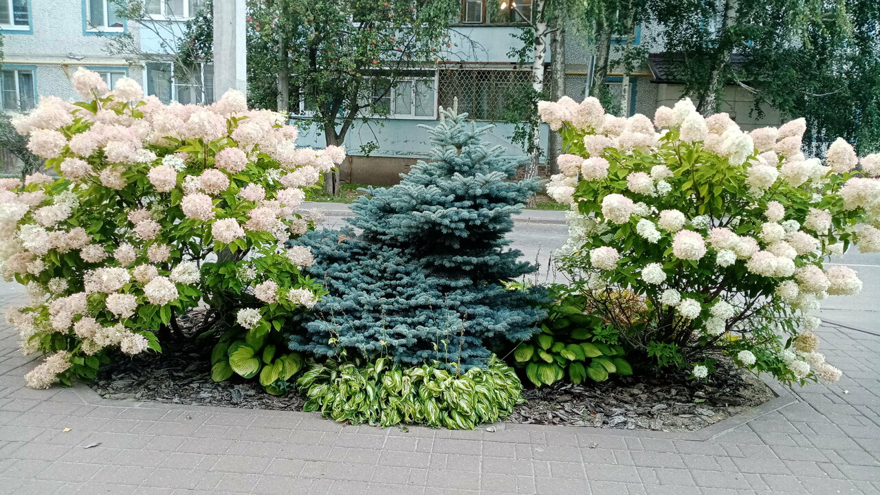 Гостиница Гармония Луховицы-133