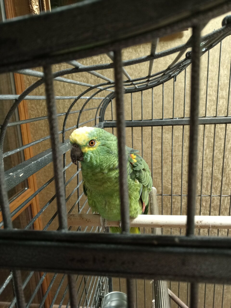 Гостиница Гармония Луховицы-126