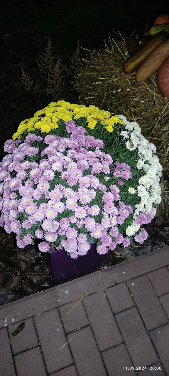 Гостиница Гармония Луховицы-78