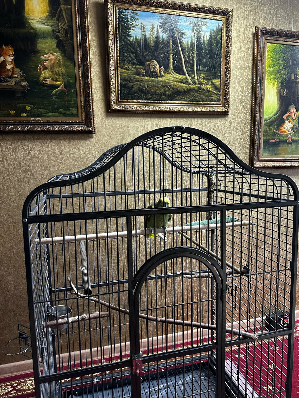 Гостиница Гармония Луховицы-50