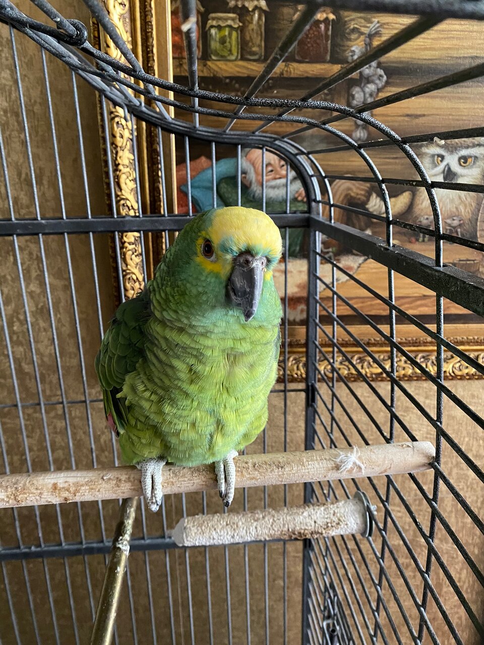 Гостиница Гармония Луховицы-31