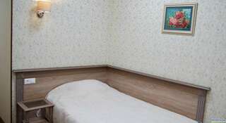 Гостиница Гармония Луховицы Двухместный номер Делюкс с 1 кроватью или 2 отдельными кроватями-2