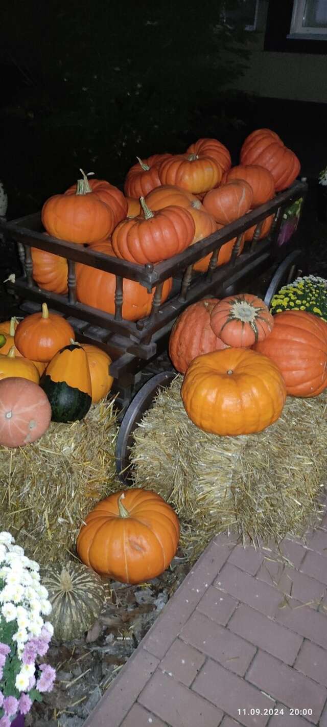 Гостиница Гармония Луховицы-91