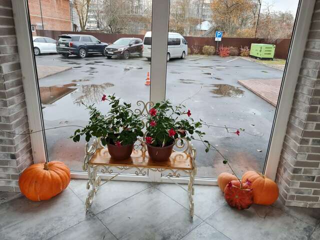 Гостиница Гармония Луховицы-54