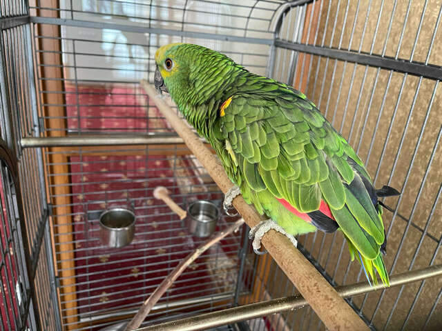 Гостиница Гармония Луховицы-37