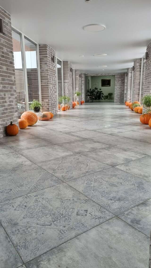 Гостиница Гармония Луховицы-92