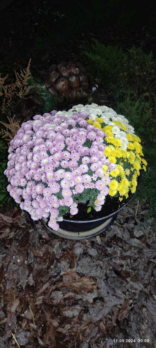 Гостиница Гармония Луховицы-104