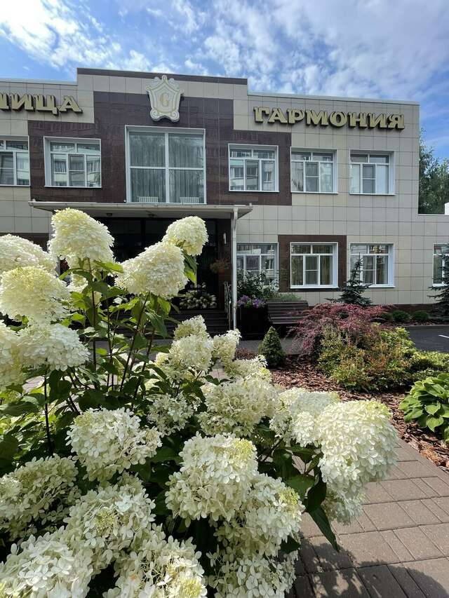 Гостиница Гармония Луховицы-21