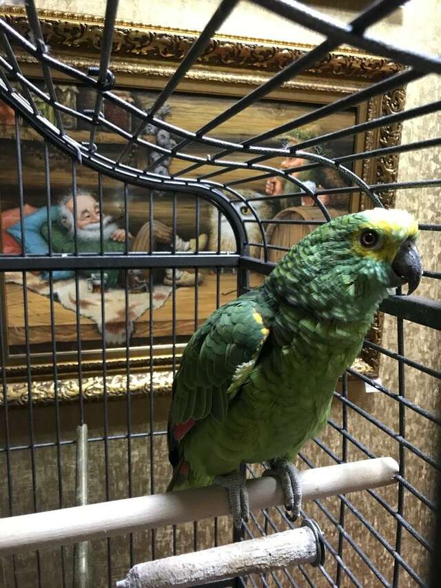 Гостиница Гармония Луховицы-31