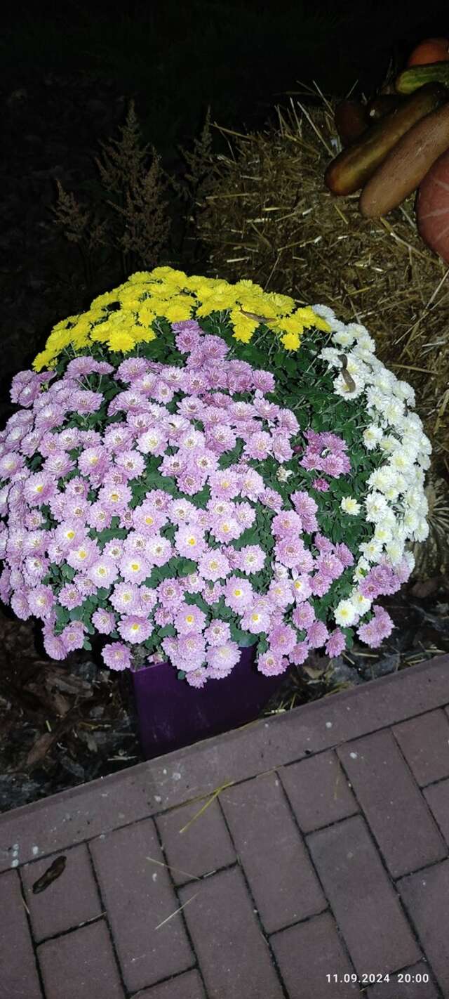 Гостиница Гармония Луховицы-77