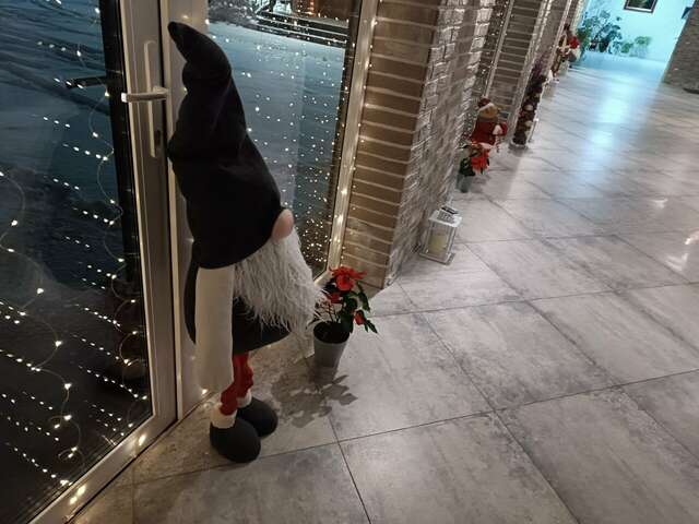 Гостиница Гармония Луховицы-82