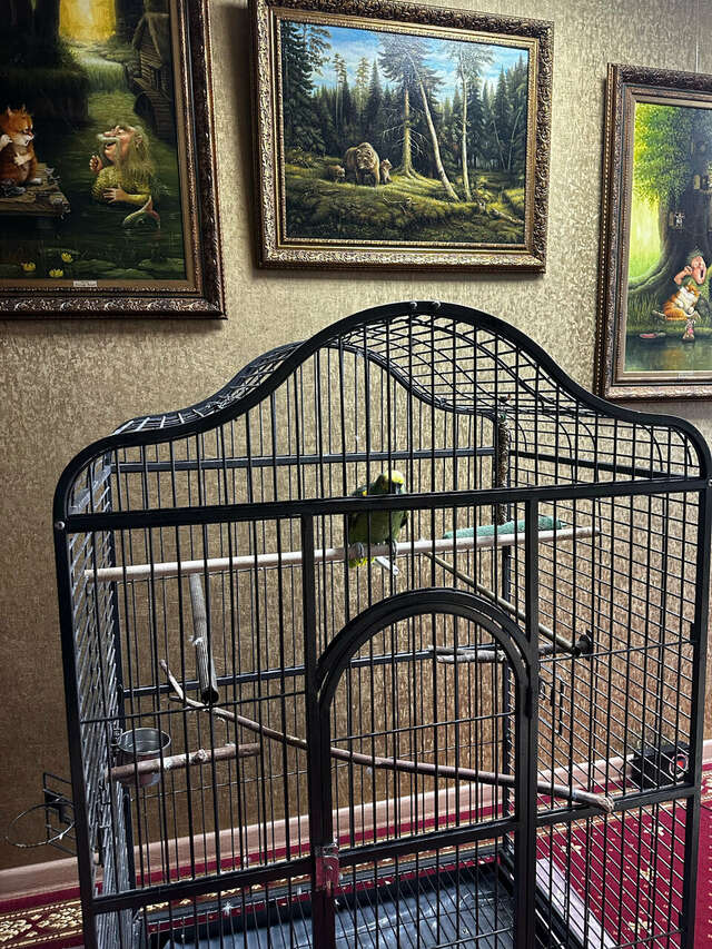 Гостиница Гармония Луховицы-49